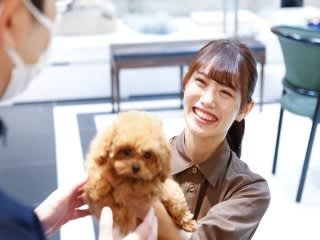 11月版 ペットショップの求人 仕事 採用 千葉県 スタンバイでお仕事探し