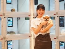 ペットショップの求人 仕事 採用 東京都立川市 スタンバイでお仕事探し